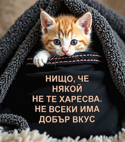 Графика