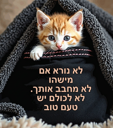 גרפיקה