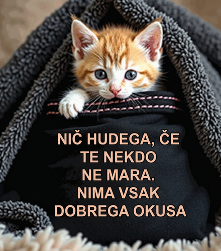 Grafika